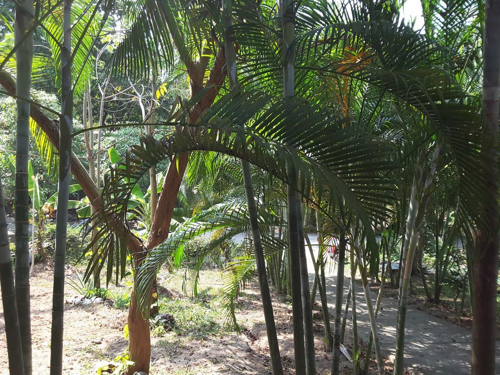 Wilai Villa Lamai Maret Extérieur photo